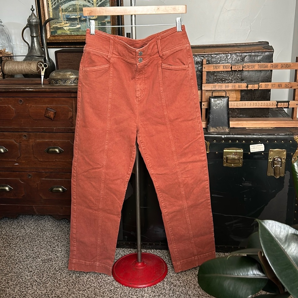 Ann Taylor Rust Colored Denim Pants